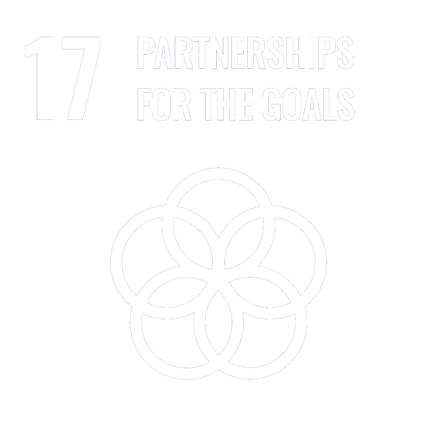 SDG Goal 17 Logo